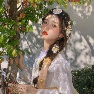 wAANZT[ fB[X N vZX ٍ  ؍ `I  z J`[V t[`[t ԏ s ʐ^Be Cxg RXv ؂₩ 킢