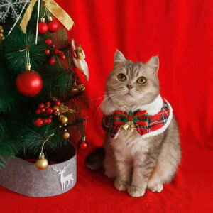 ybgEFA L p NX}X |` }g VN V[ lbNEH[}[ H~ h  킢    ᕿ