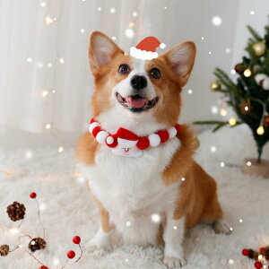 ybg   Lp NX}X ~ T^N[X giJC || R[M[ Č S[fgo[ ^ ^ ^ 킢  JWA ANZT[