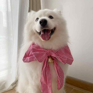  ^ ^ ^ ybgp NX}X ~ lbNEH[}[ }t[ XJ[t lN^C  킢  U o p[eB[ Cxg ANZT[   iq