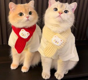 ybg }t[ Lp jbg ю lbNEH[}[ ^ ^L NX}X VN j h   킢 ANZT[ H~