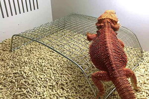 ঒ CAEg P[X tgASqQgJQ c XeX  lbg NC~O B A[` xe P[W  Vv Vo[