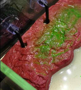 T n CAEg    X[v   P[W ANAE eE xe X|bg Ό^ Op  傫 z Œ