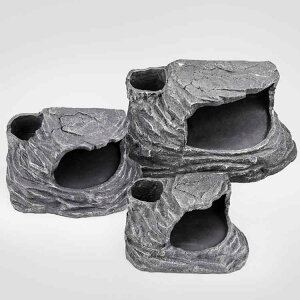 T n CAEg  pi ANAE   b X[v o B VF^[ A xe 傫 w A Vv