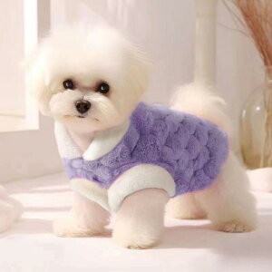 ybgEFA H~ ^ Lp rVt[[ [htbNt N t[X egEV xXg h  U o 킢 hbOEFA LbgEFA