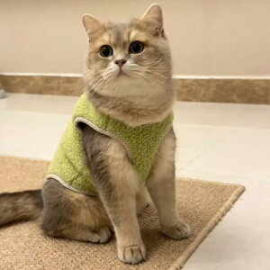 LpEFA H~ [ht іh~ N t[X {A ۉ h  킢 _炩 wJ  ^L ^L J[L 