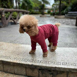  ^ H~  hbOEFA l nClbN  ۉ t[X t bh rVt[[ gCv[h h [EFA U ig