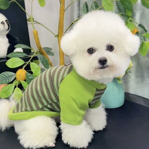  ^p hbOEFA ybgEFA Ci[ TVc Jbg\[ [ht іh~ ۉ JWA g  {[_[Vc H~t ViEU[ efB |j