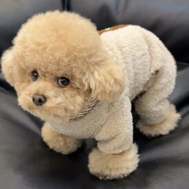 犬服 小型犬 秋冬 ウェア 裏起毛 保温 防寒 あったか ロンパース つなぎ フリース リードリング付き トイプードル ビションフリーゼ ポメラニアン お散歩