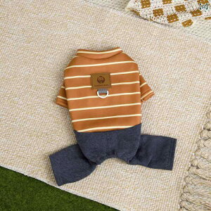  ^ q rVt[[ gCv[h ViEU[ H~ N p[J[ XEFbg vI[o[ hۉ lI[C [ht  킢 |GXe