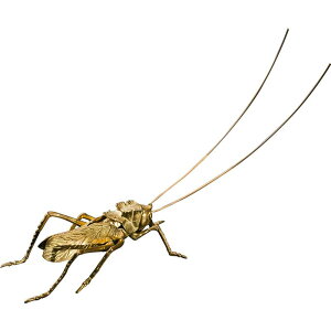  Wu ob^   Sr rp v Տ g `Ci u IuWF   ㏬ CeA