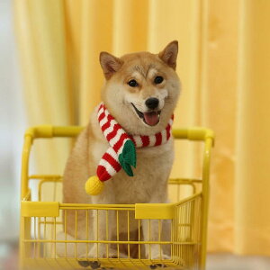 hbO}t[ ^p S[fgo[ {[_[R[ ~p NX}X VN ю jbg lbNEH[}[ 񊪂  i 킢