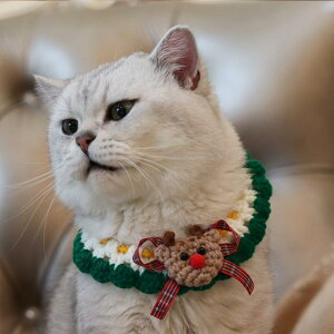 ybgEFA L p NX}X zf[ Cxg ϐg RX`[ ߑ Xq }t[ lbNEH[}[  킢  H~ LOBe f