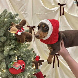 pXq NX}X  ybgp  RXv ϐgObY j[N  h g ~p  ӂӂ {Af  T^ wbhEFA