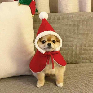 ybgp}g ^ Lp Ԃ }g P[v |` Xq  ߑ  킢  NX}X  a Cxg p[eB[ RXv ϐg  Bep