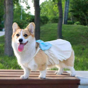 p  H  F  { vZX hX EFfBO tH[} ^ R[M[p ӂ {[ |GXe s[X