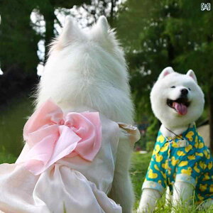 ps[X ^ ^ tH[} JWA 畞 ߂ i {t hX TGh S[fgo[ uh[go[