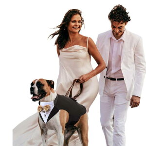  hbOEFA ybgp ^LV[h X[c 畞 tH[}EFA  EFfBO uC_ LOBe Cxg j ߑ ^ ^ ^ 񂿂 S[h sN 