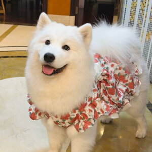  ^ ^p t  їh~ |GXe vZX o 킢 U o s[X hX