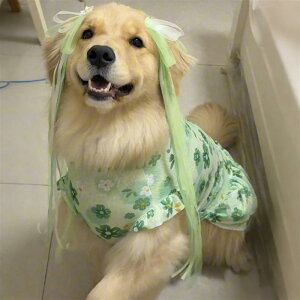  xXgs[X ^ m[X[u ԕ t[ `[hX t  y ʋC K  U o hbOEFA ybgEFA 킢