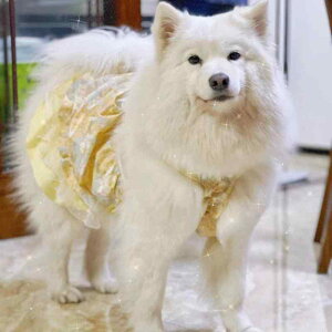  hbOEFA ^ ^ t@bV s[X hX vZX JWA K іh~ tH  킢 o U 炩 ʋC  