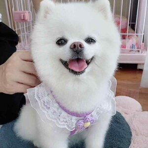 n[lX L p ^ ^ xXgn[lX  `FbN iq ԕ t[ 킢  JWA iCf K ʋC U o [hZbg FWJ