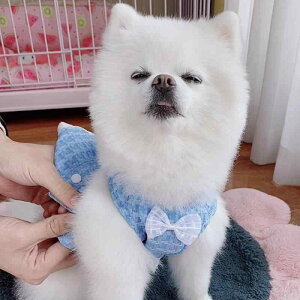 ybg ^ Lp XJCu[  킢  _u{ vZXhX s[X [htbNt n[lX̌^ U o