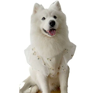  ^ EFfBOhX ps[X  LO ʐ^Be 킢  ؂₩ `[XJ[g  ʋC t