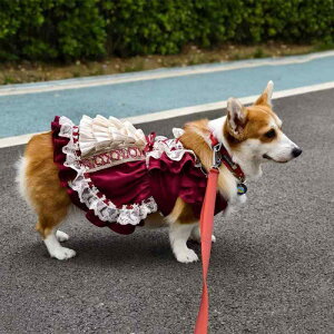 ybg t y  R[M[ t`uhbO Ch vZX { hX s[X |GXe  U o 킢  ʋC EFA