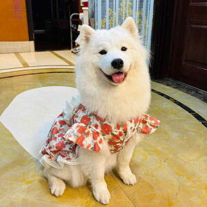  hbOEFA ^p t  |GXe y  іh~ [Y o vZX hX s[X 킢  U o ig