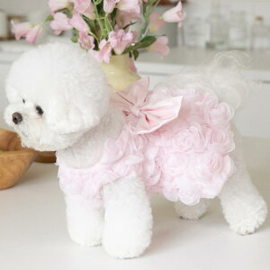 �y�b�g�� ���p �؍� �傫�ȃ��{�� ���̃o�� �`���[�� �t�F�A���[ �E�F�f�B���O �t�H�[�}�� �����s�[�X ���킢�� �v�����Z�X �p�[�e�B�[ �L�O�B�e ������� �G���K���g