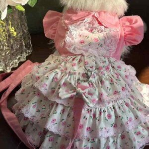  ^ ^p TCY t   킢 vZXs[X TGh S[fgo[ AXJ}~[g |GXe hX