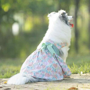  ^p 킢 K[[ hbOEFA `[bv n[lXs[X Vc TXy_[hX o[XJ[g tAXJ[g ig U K