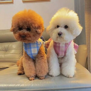 pn[lX ^ xXg^  [hZbg U ɂ gCv[h R[M[ t`uhbO ^ ^ o ig