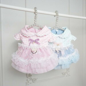 L n[lX̌^ vZXhX   ėp ё΍ ANf 킢 Pn UEFA TNu[ TNsN