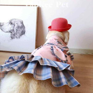 �� �� �y�A���b�N �`�F�b�N�� �t���� �v�����Z�X�h���X �^�L�V�[�h �t�H�[�}���E�F�A ������ �L�O�B�e �C�x���g ���o���� ����^���p