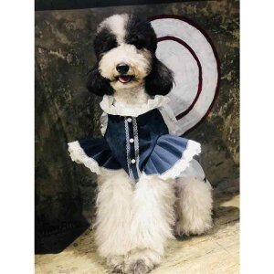  hbOEFA ^ ^ ^ ȑf fjn vZX s[X hX 킢  JWA U ig _炩 SnK