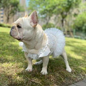 ���p �����s�[�X �� �E�F�f�B���O �t�H�[�}�� �L���~�\�[�� �m�[�X���[�u �y�b�g�E�F�A �� �t�����`�u���h�b�O �R�[�M�[ �g�C�v�[�h�� �V���i�E�U�[ ���^�� ���^���p ���j�� �L�O�� �ʐ^�B