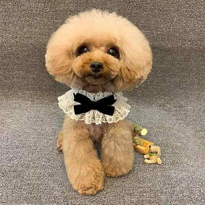  [NV[eA gCv[h rVt[[ hbOEFA ėp  [X vZXhX s[X ^p 킢 hbOXJ[t 悾ꂩ X^C     s