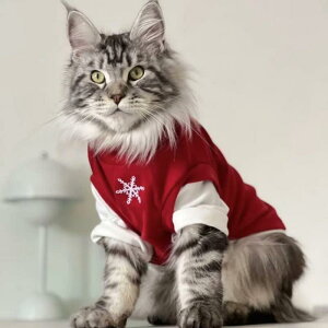 ybgEFA  Lp ^ ^ ^ H~ h  nClbN NX}X  ̌ bh hJ XEFbg xXg 킢 