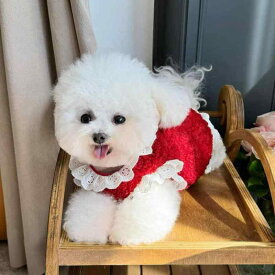 犬服 ドッグウェア 秋冬 クリスマス お正月 裏起毛 暖かい 防寒 ベスト セーター コート ビションフリーゼ シュナウザー 赤 レース