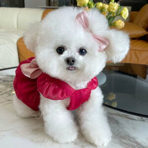 ybgphX t V[X[ vZXs[X gCv[h rVt[[  L  Ă΍ [hڑ tH[} op U 킢 GKg ʋC