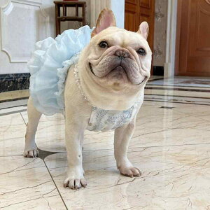 ^ ybg  Lp P[LXJ[g ݂XJ[g tXJ[g eBA[hXJ[g ĕ m gCv[h rVt[[ |jA t`uhbO