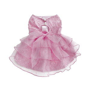   ^p vZX hX s[X 킢 ؍ y ڐG⊴ rVt[[ gCv[h tH sN