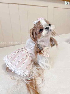 ^ ybg L p GvhX vZXs[X efB rV S[fgo[ ptX[u 킢  ^ ^ ^ m쐻 nhCh hb