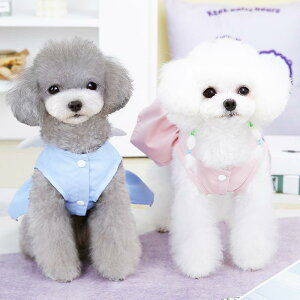  tėp ybgEFA vZX Vg̃s[X thX DJt [h\ 킢  ^ q Lp gCv[h rVt[[ |jA 