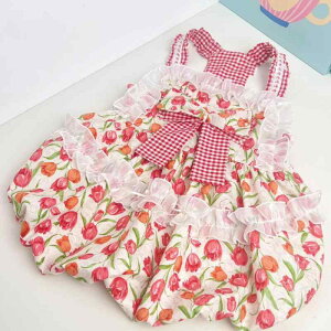  ^ L t vZX g t m[X[u s[X JWA 킢  Pl op ԃ`FbN `[bv TGh S[fgo[