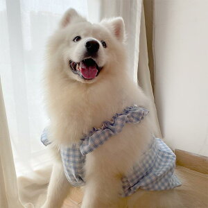  hbOEFA t  u₩ 킢 hbOs[X ^ TGh uh[ U o ʐ^Bep