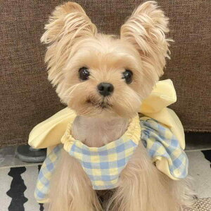 L t  L { 킢 vZXhX s[X h[p~J[ |GXe rVt[[ ViEU[ }`[Y