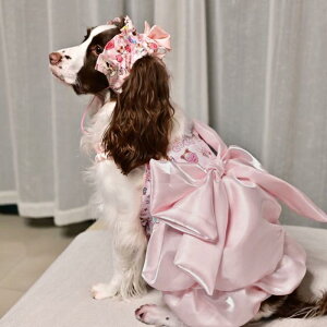   ^ ^ vZXhX s[X TGh S[fgo[ AXJ}~[g t  rbOTCY |GXe K ʋC sN